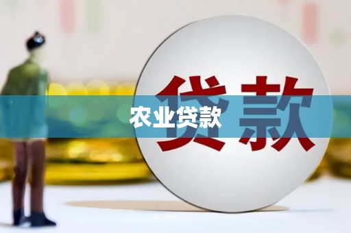襄阳农业贷款