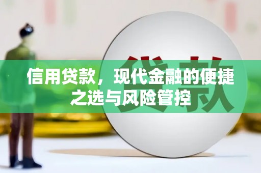 襄阳信用贷款，现代金融的便捷之选与风险管控