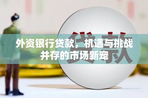 襄阳外资银行贷款，机遇与挑战并存的市场新宠