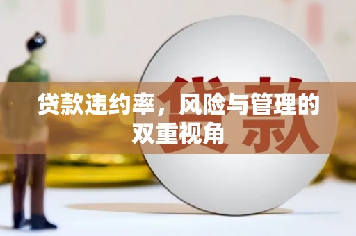 襄阳贷款违约率，风险与管理的双重视角