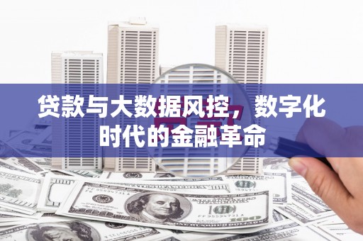 襄阳贷款与大数据风控，数字化时代的金融革命