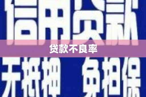 襄阳贷款不良率