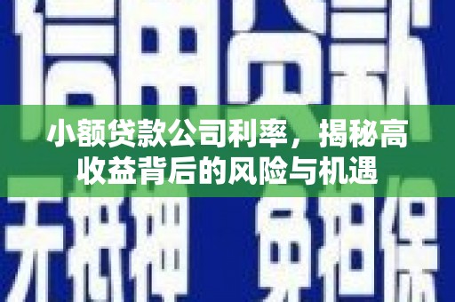襄阳小额贷款公司利率，揭秘高收益背后的风险与机遇