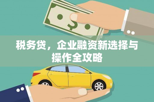 襄阳税务贷，企业融资新选择与操作全攻略