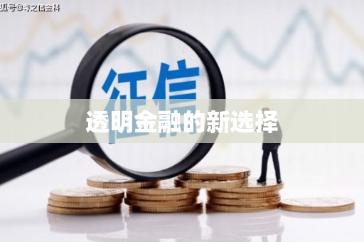 襄阳透明金融的新选择