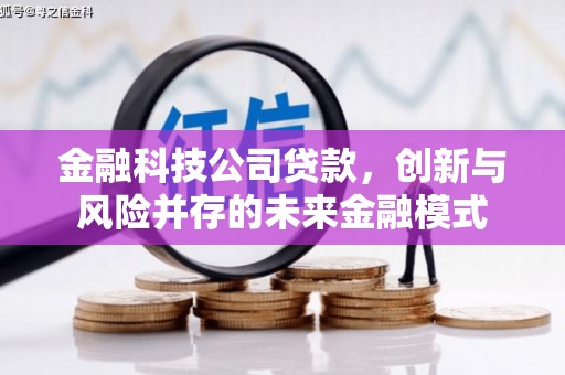 襄阳金融科技公司贷款，创新与风险并存的未来金融模式