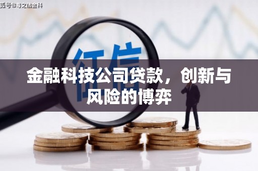 襄阳金融科技公司贷款，创新与风险的博弈