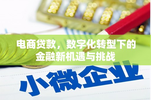 襄阳电商贷款，数字化转型下的金融新机遇与挑战