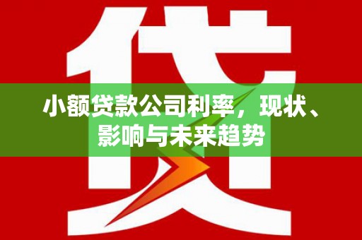 襄阳小额贷款公司利率，现状、影响与未来趋势