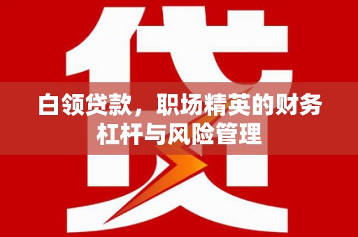 襄阳白领贷款，职场精英的财务杠杆与风险管理