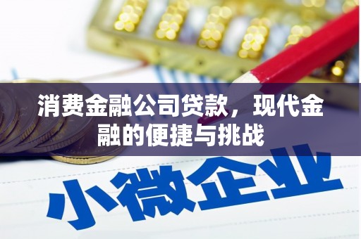 襄阳消费金融公司贷款，现代金融的便捷与挑战