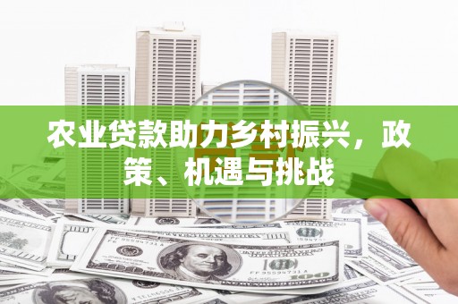 襄阳农业贷款助力乡村振兴，政策、机遇与挑战