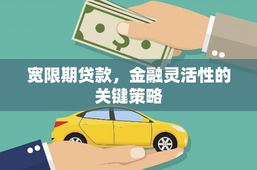 襄阳宽限期贷款，金融灵活性的关键策略
