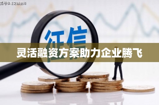 襄阳灵活融资方案助力企业腾飞