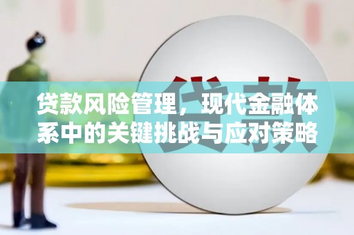 襄阳贷款风险管理，现代金融体系中的关键挑战与应对策略