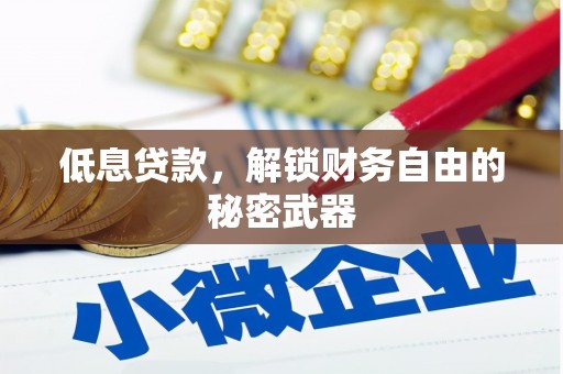 襄阳低息贷款，解锁财务自由的秘密武器