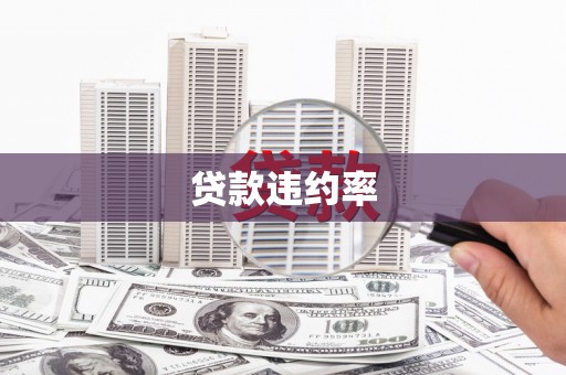 襄阳贷款违约率