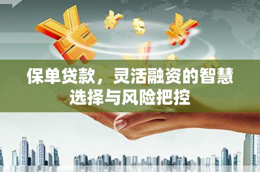 襄阳保单贷款，灵活融资的智慧选择与风险把控