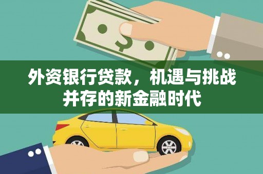 襄阳外资银行贷款，机遇与挑战并存的新金融时代