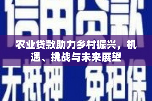 襄阳农业贷款助力乡村振兴，机遇、挑战与未来展望