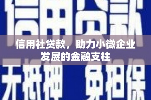 襄阳信用社贷款，助力小微企业发展的金融支柱