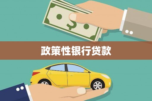 襄阳政策性银行贷款