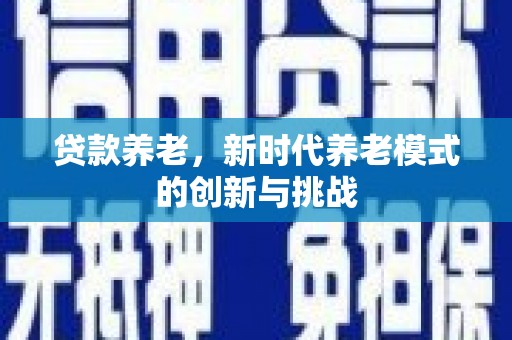 襄阳贷款养老，新时代养老模式的创新与挑战