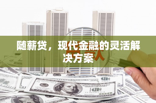 襄阳随薪贷，现代金融的灵活解决方案