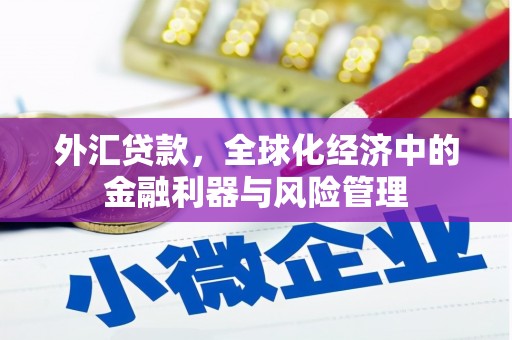 襄阳外汇贷款，全球化经济中的金融利器与风险管理