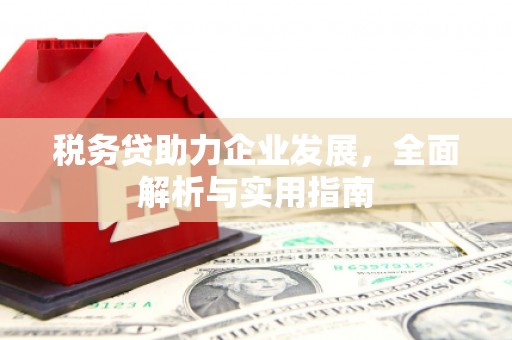襄阳税务贷助力企业发展，全面解析与实用指南