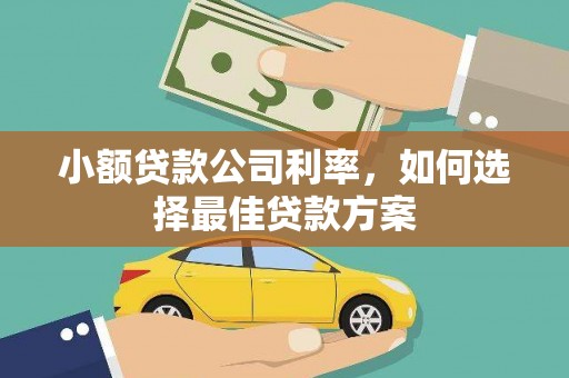 襄阳小额贷款公司利率，如何选择最佳贷款方案