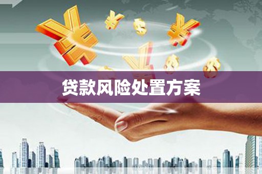 襄阳贷款风险处置方案