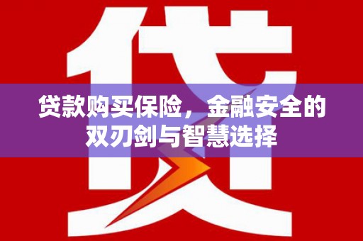 襄阳贷款购买保险，金融安全的双刃剑与智慧选择