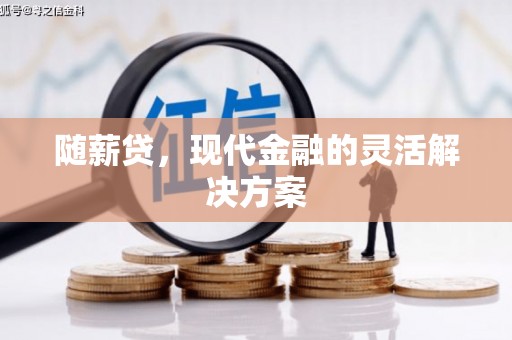 襄阳随薪贷，现代金融的灵活解决方案