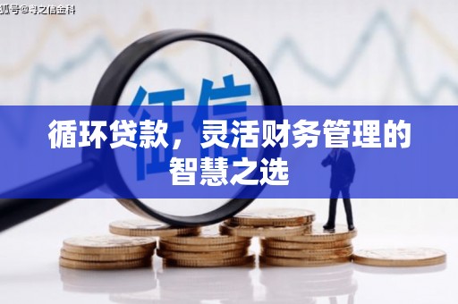 襄阳循环贷款，灵活财务管理的智慧之选