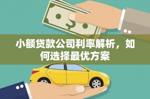 襄阳小额贷款公司利率解析，如何选择最优方案