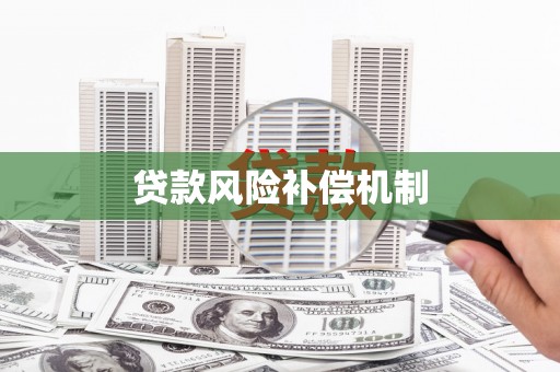 襄阳贷款风险补偿机制
