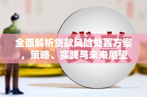 襄阳全面解析贷款风险处置方案，策略、实践与未来展望