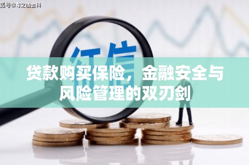 襄阳贷款购买保险，金融安全与风险管理的双刃剑