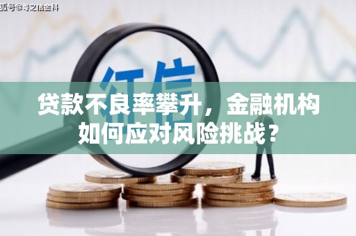 襄阳贷款不良率攀升，金融机构如何应对风险挑战？