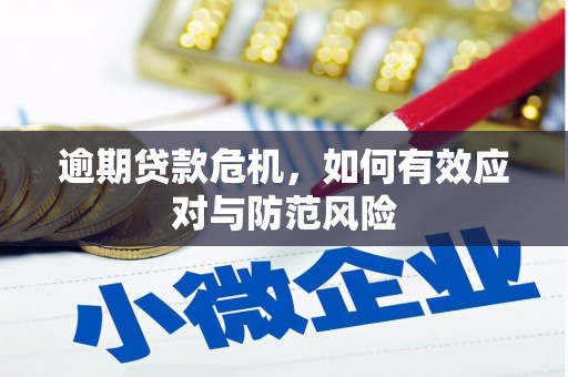 襄阳逾期贷款危机，如何有效应对与防范风险