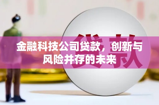 襄阳金融科技公司贷款，创新与风险并存的未来