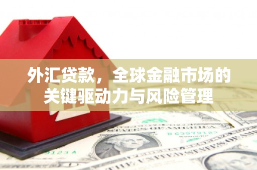 襄阳外汇贷款，全球金融市场的关键驱动力与风险管理