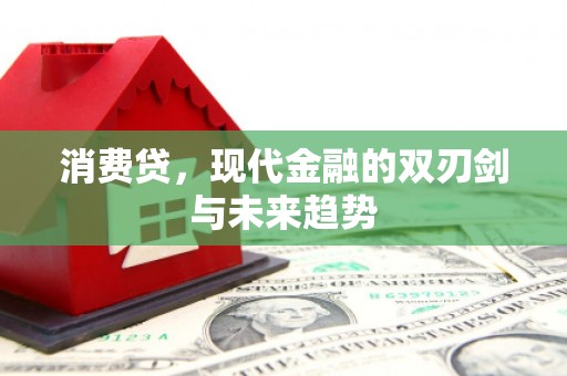 襄阳消费贷，现代金融的双刃剑与未来趋势