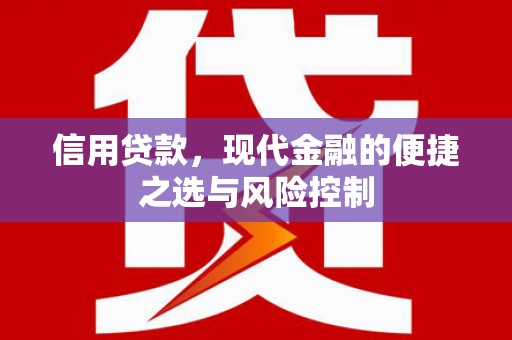 襄阳信用贷款，现代金融的便捷之选与风险控制
