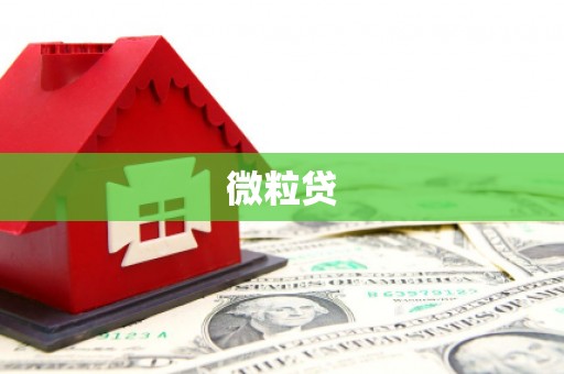 襄阳微粒贷