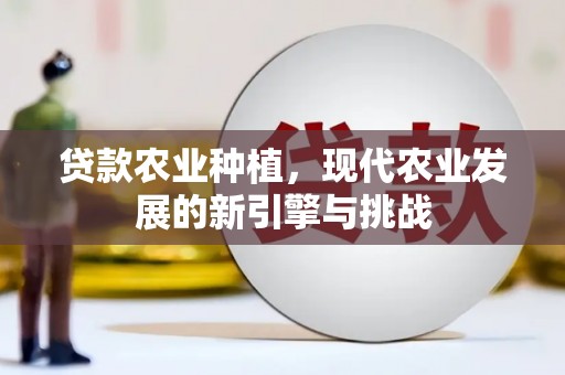 襄阳贷款农业种植，现代农业发展的新引擎与挑战