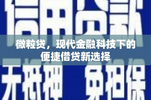 襄阳微粒贷，现代金融科技下的便捷借贷新选择