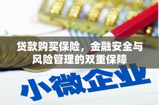 襄阳贷款购买保险，金融安全与风险管理的双重保障