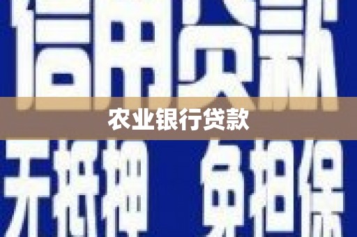 襄阳农业银行贷款